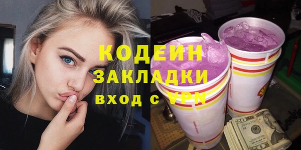 прущий лед Вяземский